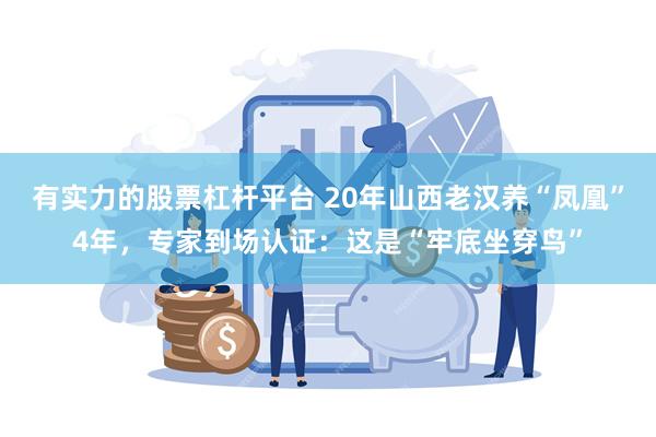 有实力的股票杠杆平台 20年山西老汉养“凤凰”4年，专家到场认证：这是“牢底坐穿鸟”