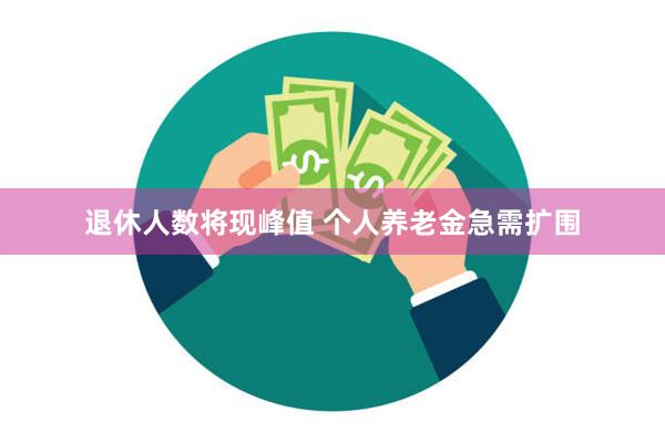 退休人数将现峰值 个人养老金急需扩围