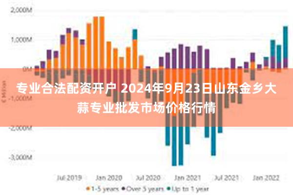 专业合法配资开户 2024年9月23日山东金乡大蒜专业批发市场价格行情