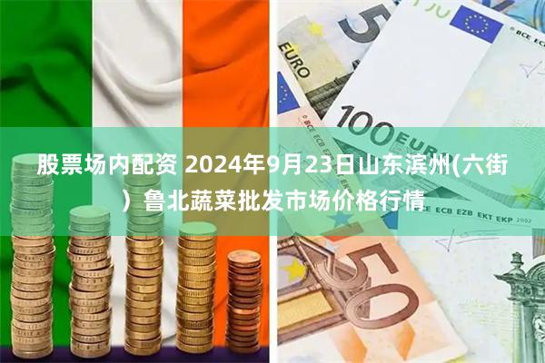 股票场内配资 2024年9月23日山东滨州(六街）鲁北蔬菜批发市场价格行情