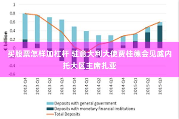 买股票怎样加杠杆 驻意大利大使贾桂德会见威内托大区主席扎亚