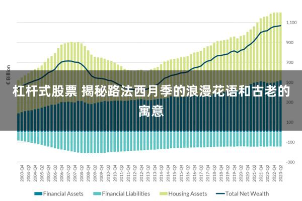 杠杆式股票 揭秘路法西月季的浪漫花语和古老的寓意