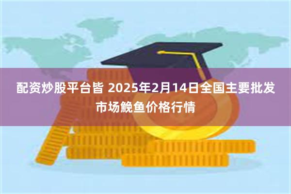 配资炒股平台皆 2025年2月14日全国主要批发市场鮸鱼价格行情