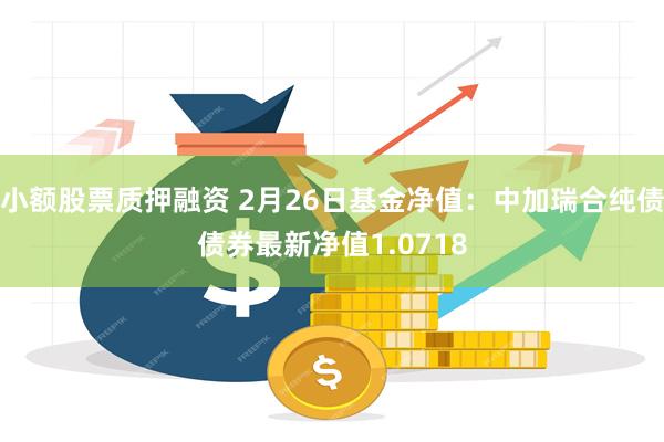 小额股票质押融资 2月26日基金净值：中加瑞合纯债债券最新净值1.0718