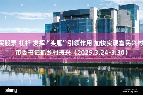 买股票 杠杆 发挥“头雁”引领作用 加快实现富民兴村|市委书记抓乡村振兴（2025.3.24-3.30）